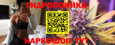 PSILOCYBIN Усть-Джегута