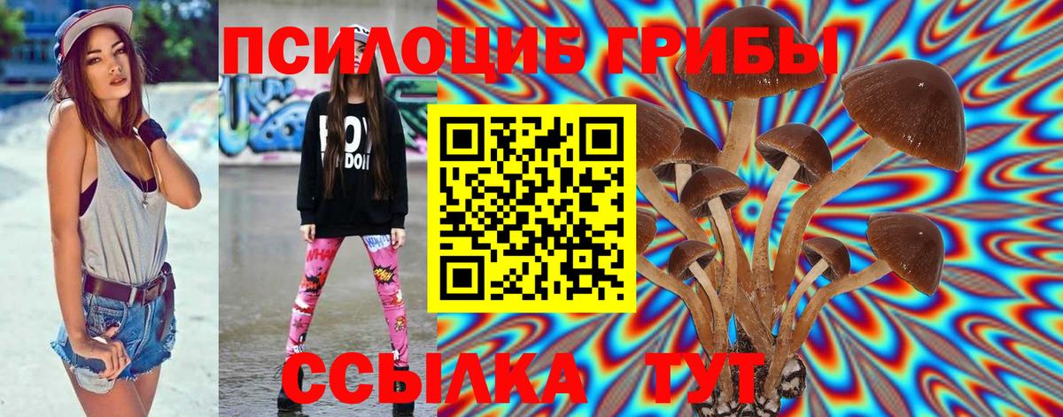 Галлюциногенные грибы GOLDEN TEACHER Бахчисарай
