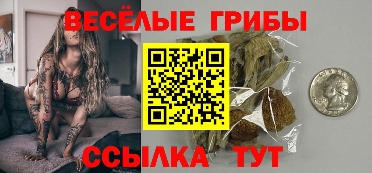 Псилоцибиновые грибы Psilocybe  Псилоцибиновые грибы прущие грибы  Бахчисарай  Вход с VPN 
